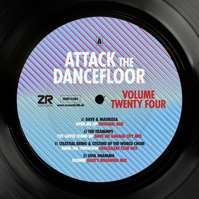 Various/ATTACK THE DANCEFLOOR VOL 24 12"