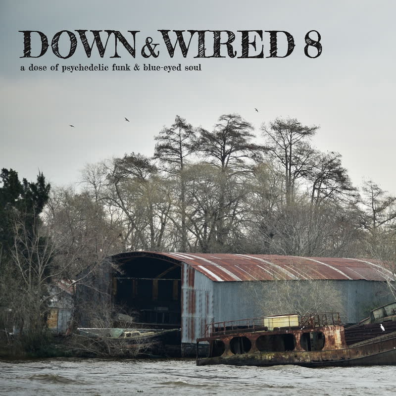 Various/DOWN & WIRED VOL. 8 LP