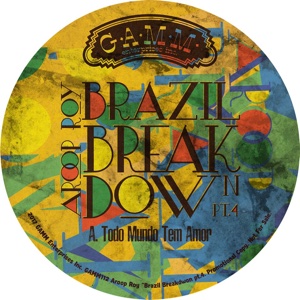 Aroop Roy/BRAZIL BREAKDOWN PT. 4 12