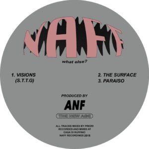 ANF/VISIONS 12