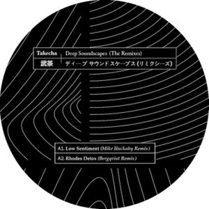 Takecha/DEEP SOUNDSCAPES: REMIXES 12