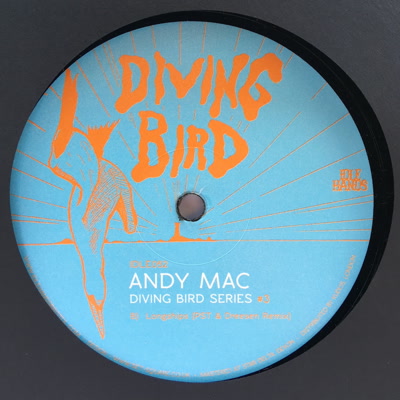 Andy Mac/DIVING BIRD SERIES #3 12