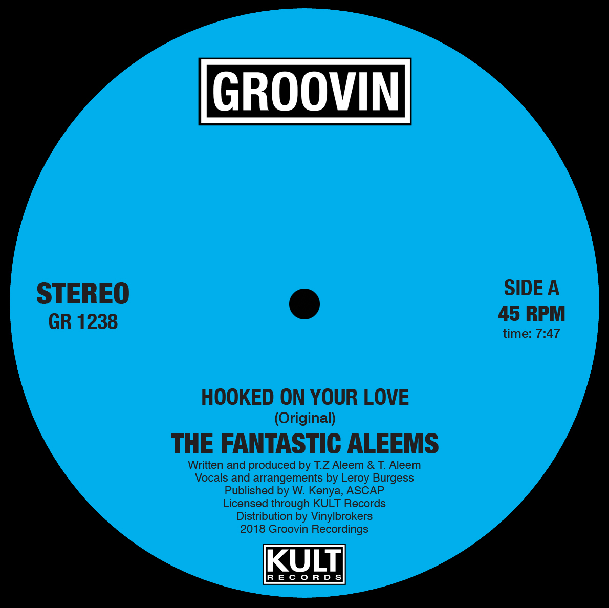 Fantastic Aleems/HOOKED ON YOUR LOVE 12