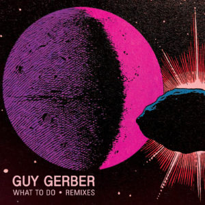 Guy Gerber/WHAT TO DO: REMIXES 12