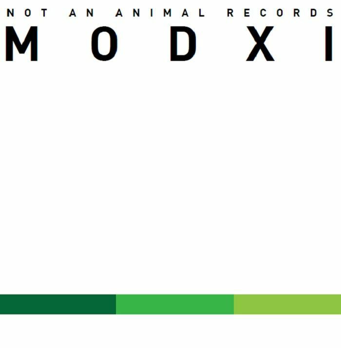 Modxi/AMALGAM (ROMAN FLUGEL REMIX) 12