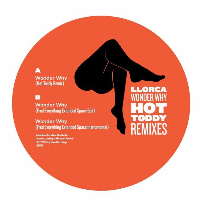 Llorca/WONDER WHY (HOT TODDY REMIX) 12