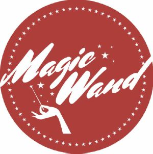 Various/MAGIC WAND VOL. 14 12