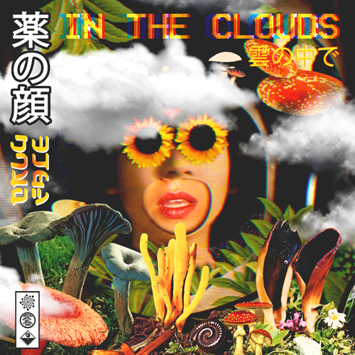 Drugface/IN THE CLOUDS 12