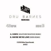 Dru Barnes/SILENT LIGHT REMIXES 12