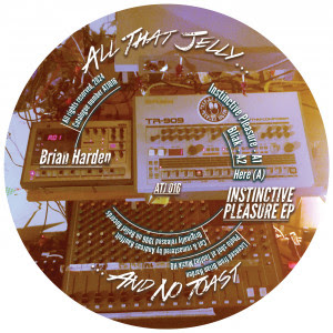 Brian Harden/INSTINCTIVE PLEASURE 12"