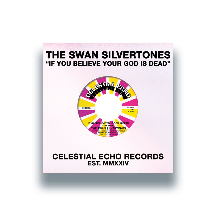 Swan Silvertones/IF YOU BELIEVE... 7"