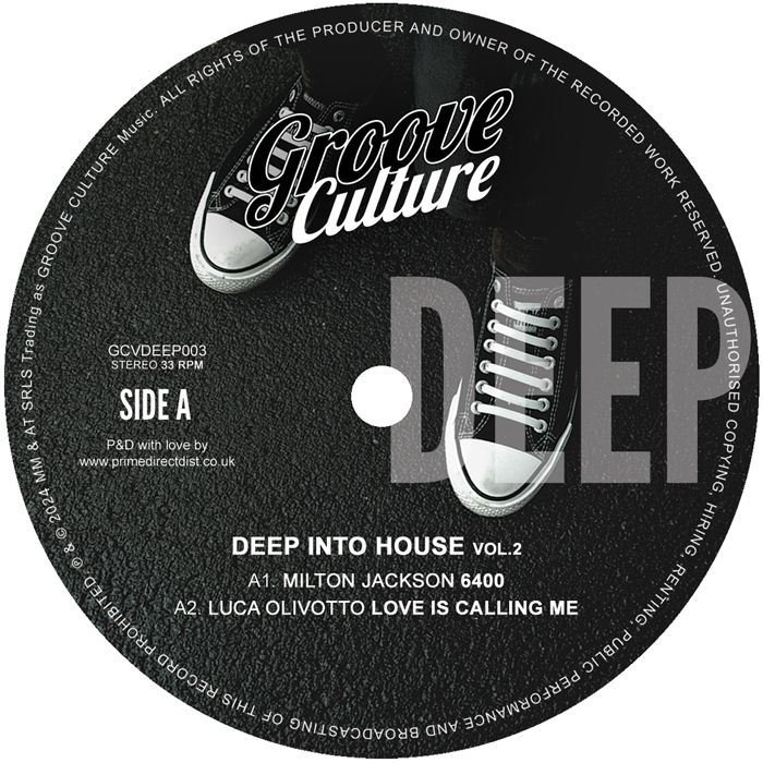 Various/DEEP INTO HOUSE VOL 2 EP 12"