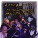 Beggar & Co/BRASS, STRINGS N THINGS CD