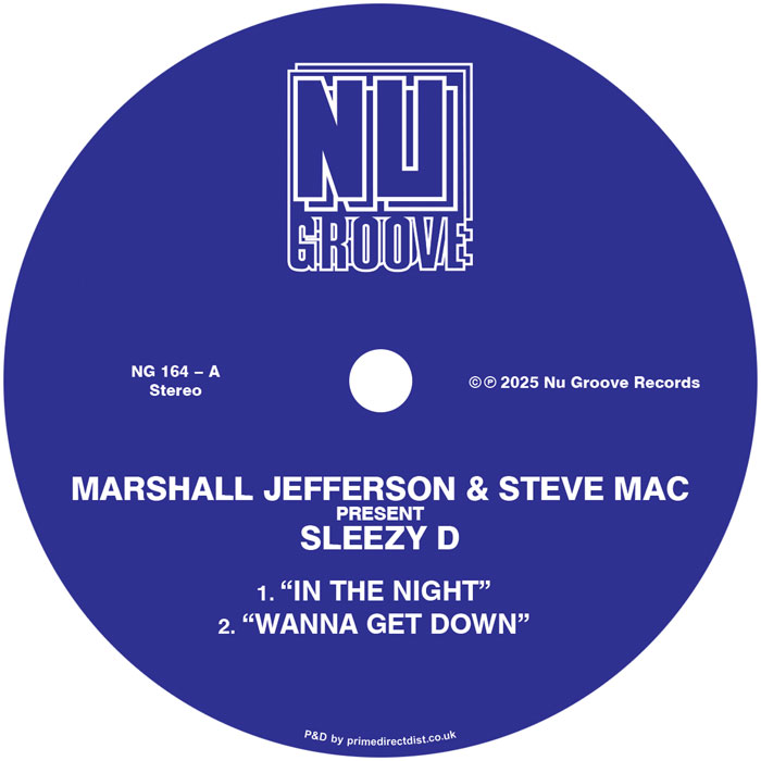 Sleezy D/IN THE NIGHT 12"