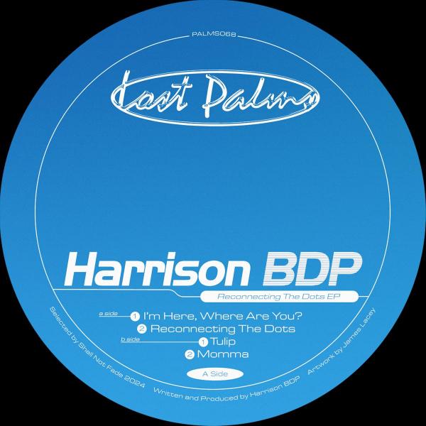 Harrison BDP/RECONNECTING THE DOTS 12"