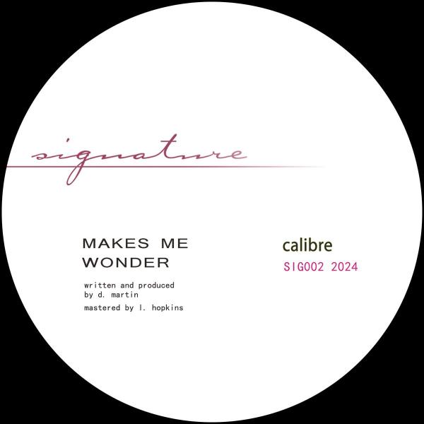 Calibre/MAKES ME WONDER 12"