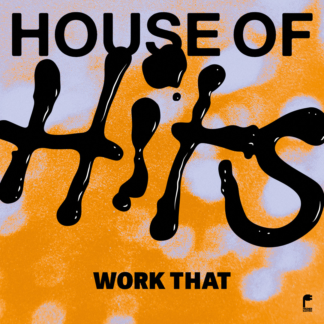 House Of Hits/WORK THAT 12"