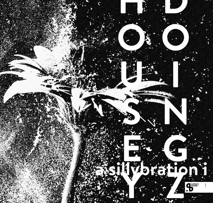 Housey Doingz/A SILLYBRATION PT 1 DLP